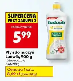 Biedronka Płyn do naczyń Ludwik 900 g oferta