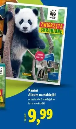 Lidl Album do wyklejania Panini oferta