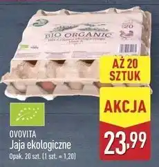 ALDI Jaja Ovovita oferta