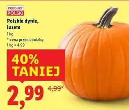 Lidl Dynia polska oferta