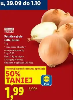 Lidl Cebula żółta polska oferta