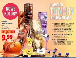 Lidl Toner do włosów pumpkin spice latte Cameleo oferta