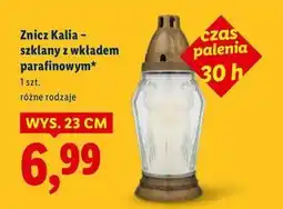 Lidl Znicz szklany 30 h Kalia oferta