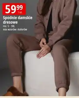 E.Leclerc Spodnie damskie oferta
