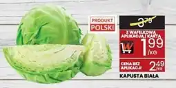 Wafelek Kapusta biała Polski oferta
