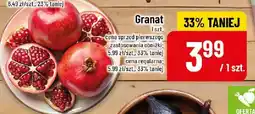 Polomarket Granat 1 szt. POLOmarket oferta