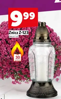 Topaz Znicz oferta