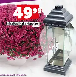 Topaz Znicz Napoleon oferta