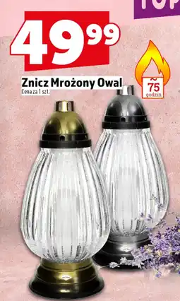 Topaz Znicz oferta