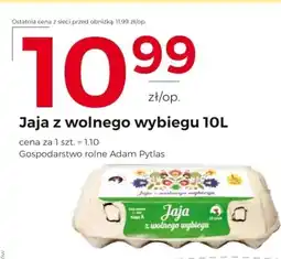 Frac Jaja oferta