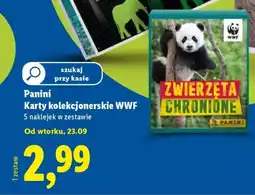 Lidl Panini Karty kolekcjonerskie WWF oferta