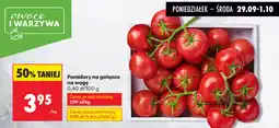 Biedronka Pomidory na gałązce oferta