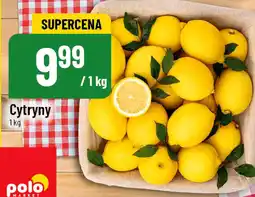 Polomarket Cytryny oferta