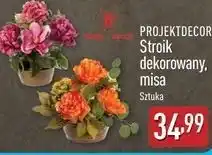 ALDI Stroik w misie Projektdecor oferta