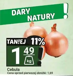Hitpol Cebula Hitpol oferta