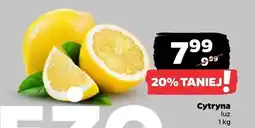 Netto Cytryna luz 1 kg Netto oferta