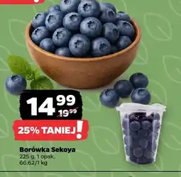 Netto Borówka Sekoya 225g Netto oferta