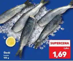 Kaufland Śledź tusza 100 g oferta