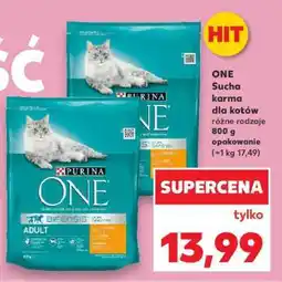 Kaufland ONE Sucha karma dla kotów oferta