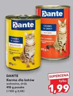 Kaufland DANTE Karma dla kotów oferta