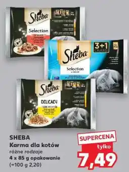 Kaufland SHEBA Karma dla kotów oferta