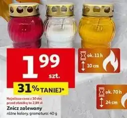 Auchan Znicz zalewany oferta