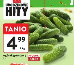 Intermarche Ogórek gruntowy luz Intermarche oferta