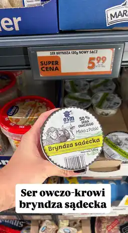 Biedronka Ser bryndza 120g Nowy Sącz OSM Nowy Sącz oferta