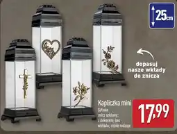 ALDI Znicz oferta