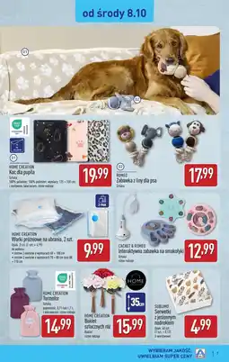 ALDI Koc Home Creation oferta