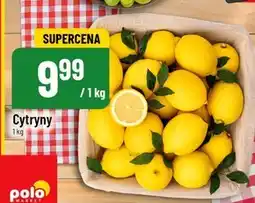 Polomarket Cytryna oferta