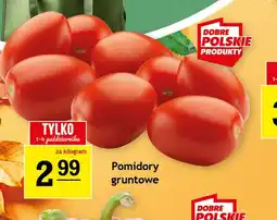 Gram Market Pomidory gruntowe oferta