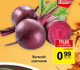 Gram Market Buraczki czerwone oferta