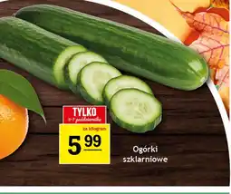 Gram Market Ogórki szklarniowe oferta