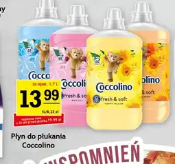 Gram Market Płyn do płukania Coccolino oferta