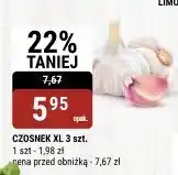 bi1 Czosnek XL 3 szt. bi1 oferta