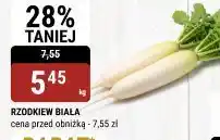 bi1 Rzodkiew biała 1kg bi1 oferta