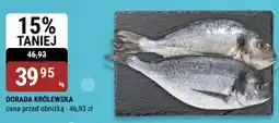 bi1 Dorada królewska 1kg bi1 oferta