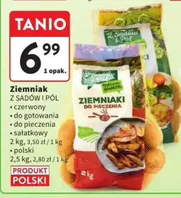 Intermarche Ziemniak do pieczenia Z SADÓW I PÓL oferta