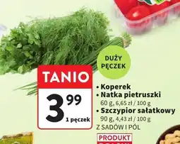 Intermarche Szczypior sałatkowy Z SADÓW I PÓL oferta