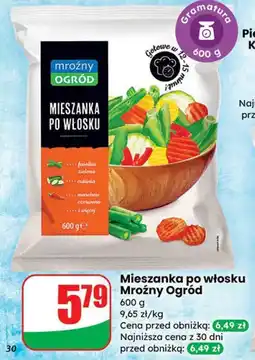 Dino Mieszanka po włosku Mroźny Ogród 600g oferta