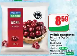 Dino Wiśnie bez pestek Mroźny Ogród 500g oferta