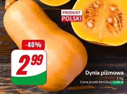 Dino Dynia piżmowa 1kg Dino oferta