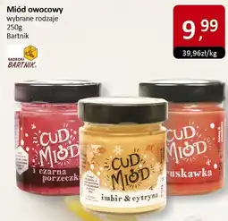 Market Point Miód owocowy 250g Bartnik oferta