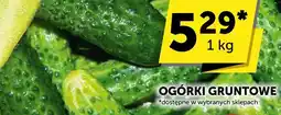 Euro Sklep Ogórki gruntowe Euro Sklep oferta