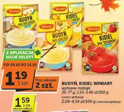 Euro Sklep Budyń, kisiel Winiary wybrane rodzaje oferta