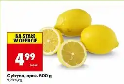 Biedronka Cytryny oferta