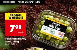 Biedronka Mini kiwi polska Biedronka Warzywniak Owocowy oferta