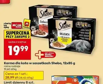Biedronka Karma dla kota z wołowiną Sheba Selection In Sauce oferta