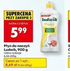 Biedronka Płyn do naczyń cytrynowy Ludwik oferta